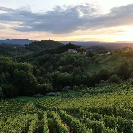 Vineyard Urban * Mirna