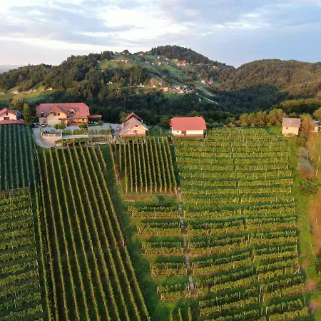 Vineyard Urban Apartamento Mirna