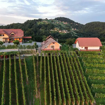Vineyard Urban Apartamento *