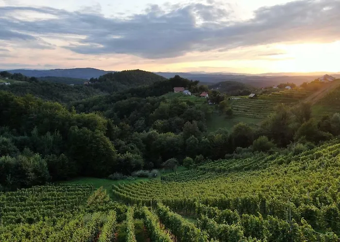 Vineyard Urban * Mirna