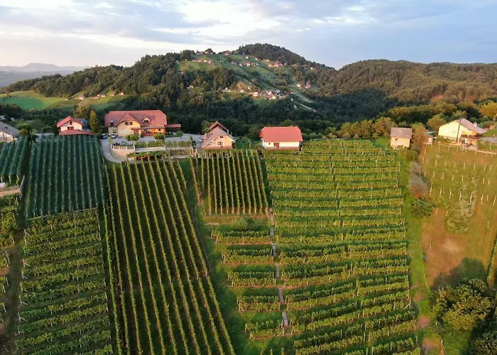 Vineyard Urban Appartamento Mirna