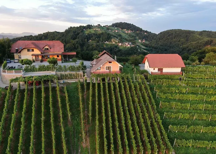 Vineyard Urban Appartamento *