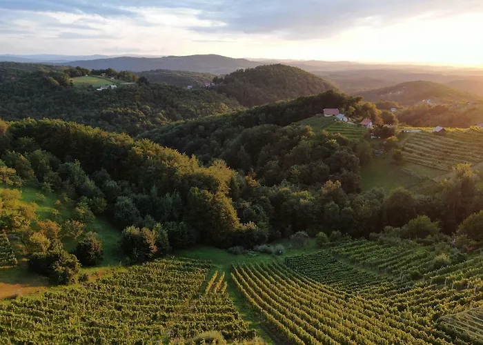 Vineyard Urban Appartement *